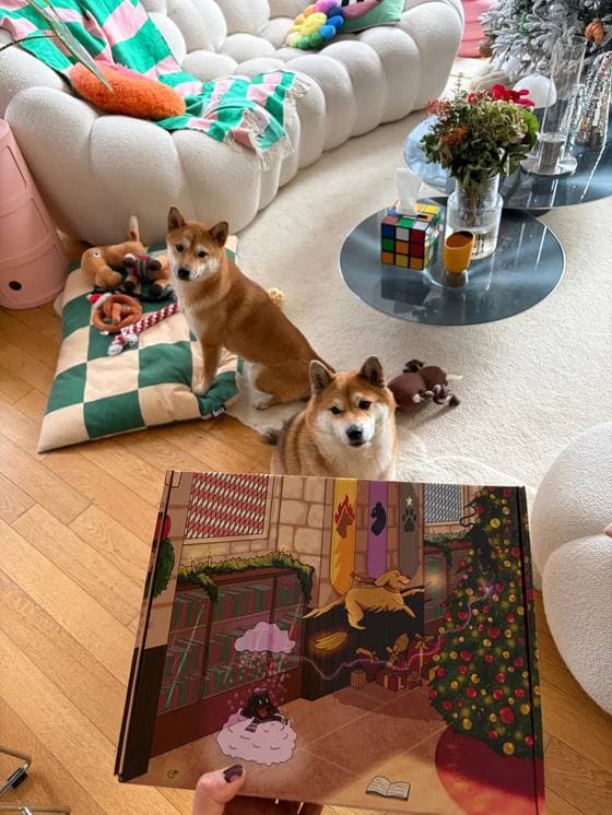 Saiko & Akira avec le calendrier de l’Avent Truffe Délice