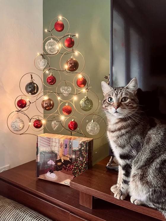 Chloé, Themis et Skippy avec le calendrier de l’Avent Truffe Délice