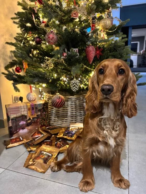 Solenne de Paul avec le calendrier de l’Avent Truffe Délice