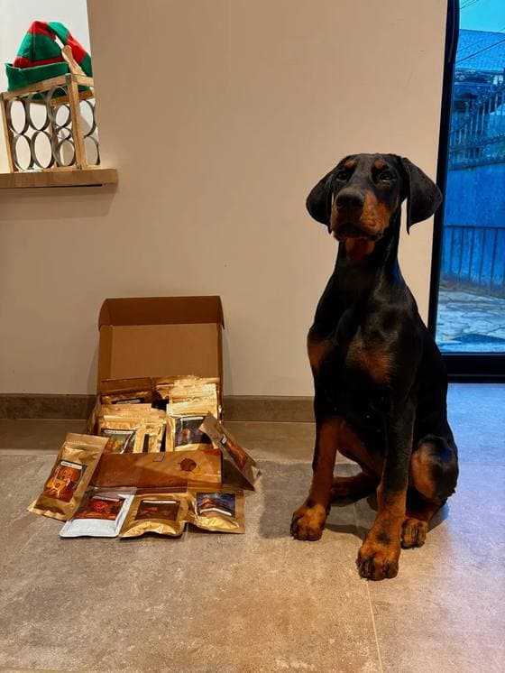 Une famille de 3 chiens avec le calendrier de l’Avent Truffe Délice