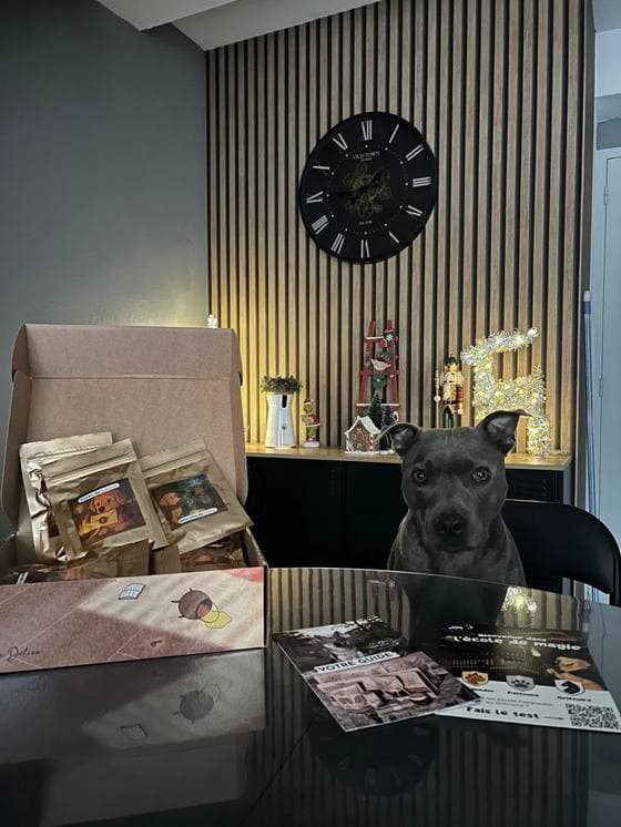 Thor avec le calendrier de l’Avent Truffe Délice
