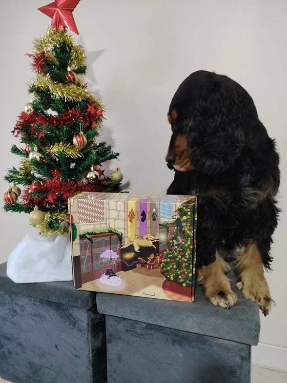 Orlane & Happy avec le calendrier de l’Avent Truffe Délice