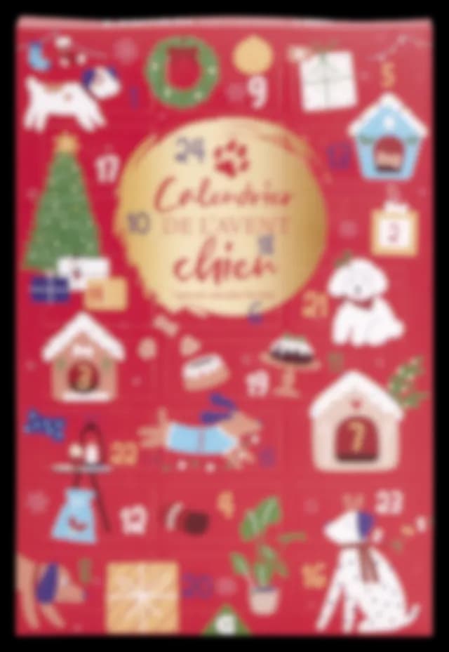 Un calendrier de l’Avent classique pour chien