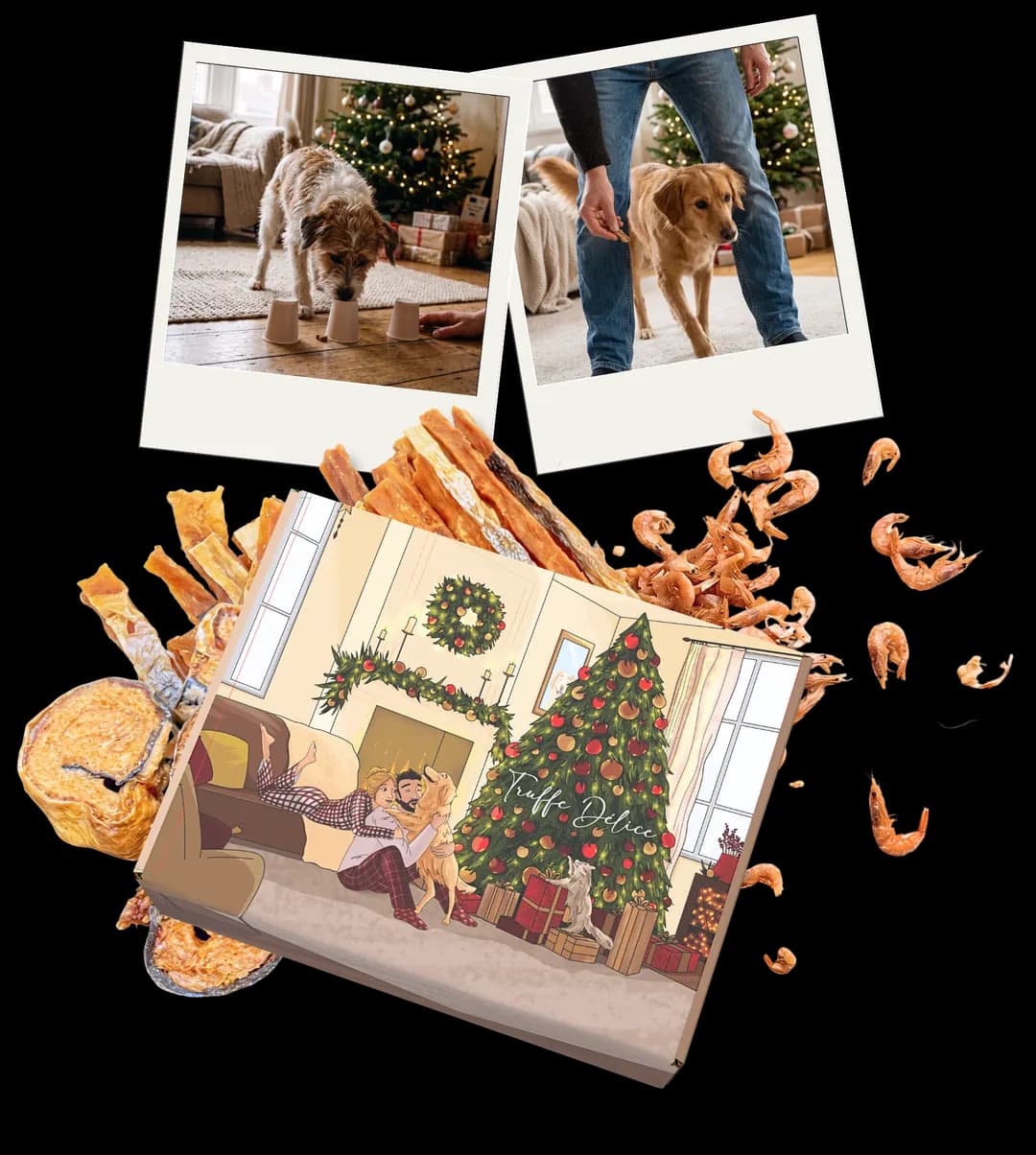 Le calendrier Truffe Délice entouré de ses gourmandises, avec deux photos d’activités partagées avec son chien